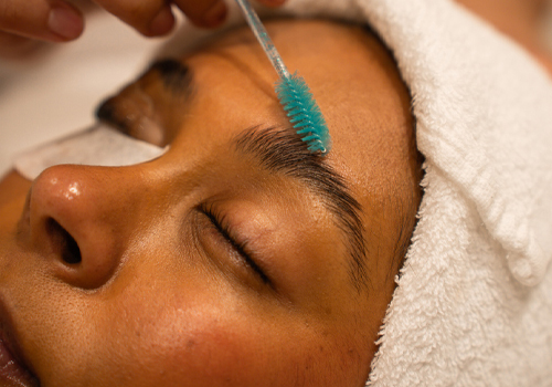Dante Wellness Brow & Lash Tinting